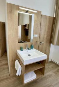 uma casa de banho com um lavatório branco e um espelho. em Penzion U Nováků em Kožlí u Orlíka