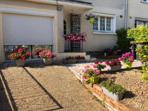 a house with potted flowers in the front yard at Chez Annie in Doué-la-Fontaine