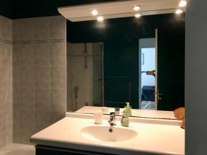 a bathroom with a sink and a large mirror at cosy & pratique in La Plaine-Saint-Denis