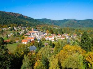 a small town in the mountains with trees and houses at Gîte Gretel, in lush greenery, on the edge of a stream in Wangenbourg