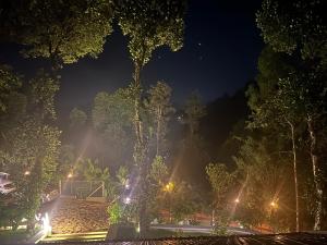 SylVan Resort外面的花园