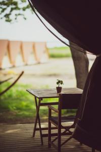 une petite usine assise sur une table dans une tente dans l'établissement Mia Glamping, à Orissaare
