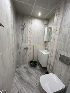 y baño con ducha, aseo y lavamanos. en Luxurious flat Pleven Center, en Pleven