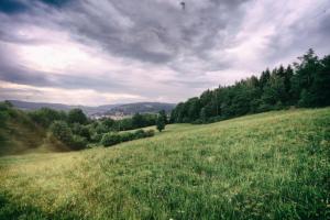 a field of grass with trees and a cloudy sky at Bouvacôte La Forcenée in Le Tholy