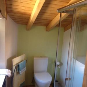 baño con aseo y techo de madera. en Casa Da Pena en Góis