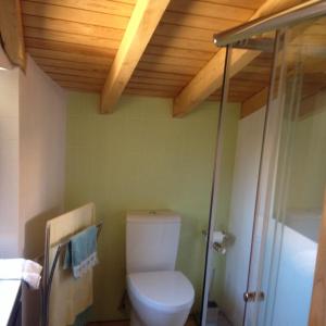 a bathroom with a toilet and a wooden ceiling at Casa Da Pena in Góis