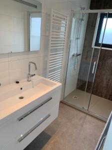 a bathroom with a sink and a shower at Ferienhaus Holland Cube NB 15 im EuroParcs Bad Hoophuizen - 6 Personen in Hulshorst