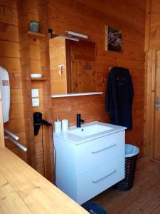 een badkamer met een wastafel in een blokhut bij chalet audruicquois in Audruicq