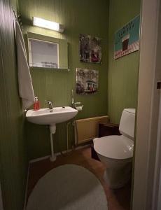 ein grünes Bad mit einem WC und einem Waschbecken in der Unterkunft NORVALA The shower is located in the main building in Rovaniemi