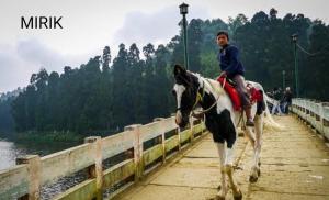 un hombre montando un caballo en un puente en A.P.S. Lodge en Darjeeling