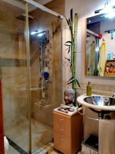 ein Bad mit einer Dusche und einem Waschbecken in der Unterkunft Mikalita in San Fernando