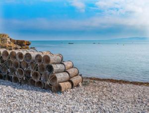 a pile of logs sitting on a beach next to the water at Heulwen - Moelfre in Moelfre