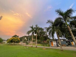 un grupo de palmeras en un parque en Suptara Resort, en Nakhon Nayok