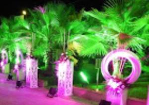 una fila de objetos rosas con luces delante de las plantas en Sran Fort Palace Rajasthan, 