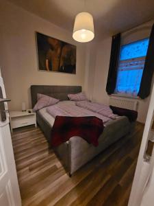 Schlafzimmer mit einem Bett und einem Fenster in der Unterkunft Max's Hinterhaus in Dresden