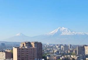 a view of a city with a snow covered mountain at Vane 2 in Yerevan