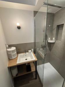 bagno con lavandino e doccia di Saint-Sernin - Cosy T2 Hypercentre, Basilique. a Tolosa