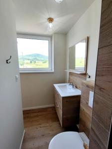 a bathroom with a toilet and a sink and a window at L'Altenberg in Bergheim +39 photos