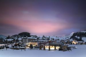 uma cidade na neve à noite em Swiss Holiday Park Resort em Morschach