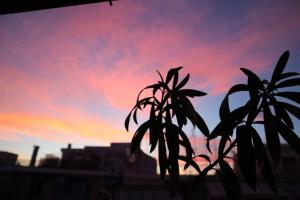 een silhouet van een plant met een zonsondergang op de achtergrond bij Great apartment, large balcony in Athene