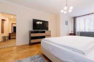 a bedroom with a large bed and a flat screen tv at Apartments TGM 11 in Karlovy Vary