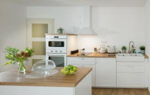 Kuchyň nebo kuchyňský kout v ubytování Apartmány Myslivna