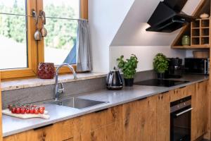 Kuchyňa alebo kuchynka v ubytovaní Apartament Marmot Deluxe Zakopane + 15 fotografií