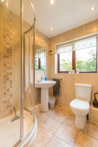 a bathroom with a toilet and a sink and a shower at Four Seasons in Norwich