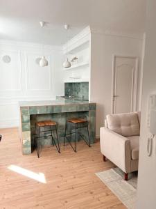een woonkamer met een keuken met een bank en een aanrecht bij Petit cocon cosy in Bordeaux