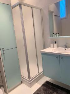 ein Bad mit einer Dusche und einem Waschbecken in der Unterkunft Royal South - Apartment Antwerp with Parkview in Antwerpen
