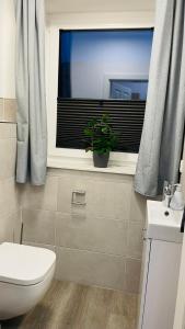 a bathroom with a toilet and a window with a plant at Kleine Burg Ovelgönne in Ovelgönne