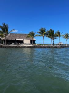 ein Haus auf einer Insel mit Palmen im Wasser in der Unterkunft Villa Luxury Anahita in Grande Rivière Sud Est