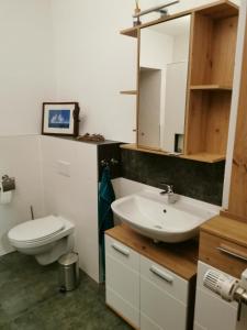 a bathroom with a white sink and a toilet at Ferienwohnung am Nationalpark Hunsrück Hochwald in Brücken