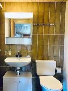 FlumserbergにあるChalet Gauschla - CharmingStayのバスルーム(トイレ、洗面台付)