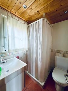 FlumserbergにあるChalet Gauschla - CharmingStayのバスルーム(白いトイレ、シンク付)
