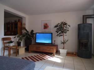 Μια τηλεόραση ή/και κέντρο ψυχαγωγίας στο Ferienhaus Baier im Sourterrain mit Terrasse und Speckstein Ofen für gemütliche Stunden am Kamin