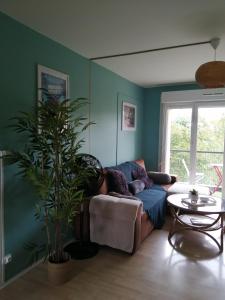 ein Wohnzimmer mit einem Sofa und einer Pflanze in der Unterkunft Appartdom in Angoulême