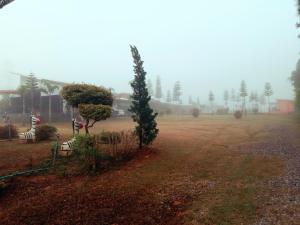 a foggy field with two benches and a tree at เฟรนด์แคมป์ in Khao Kho