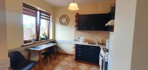 Kuchyňa alebo kuchynka v ubytovaní Apartament z Tarasem