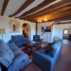 a living room with blue couches and a tv at Mas Puig De Baix with private Pool and gardens in Olot