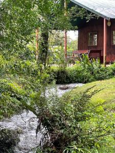 a log cabin with a picnic table in front of it at Mount Park Guest Farm in Dargle