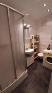 a bathroom with a shower and a toilet and a sink at Rheingold inklusive einer Flasche Sekt in Koblenz