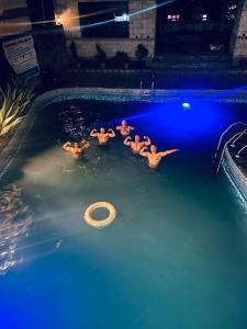a group of people swimming in a swimming pool at Backpackers Den (TRC) in Gangtok