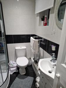 a small bathroom with a toilet and a sink at Luxury on a Budget in Chelmsford