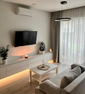 sala de estar con sofá y TV en la pared en Cozy Apartment with Garden & Terrace in Kaunas, en Kaunas