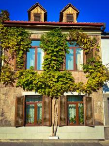 a tree in front of a building with windows at Nice in Akhaltsikhe