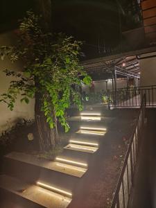 瓦亚纳德SylVan Resort的相册照片