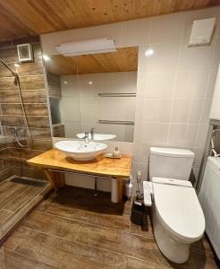 a bathroom with a sink and a toilet at Snowood Chalet Hakuba in Hakuba +24 photos