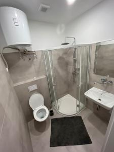 een badkamer met een douche, een toilet en een wastafel bij Chateau Kravín - Celý objekt 15 pokojů a stodola 