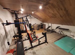 einen Blick über einen Fitnessraum mit Laufbändern in der Unterkunft Rodzinny apartament + siłownia in Bytom